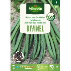 Semences de haricot nain Divinel 100 g VILMORIN
