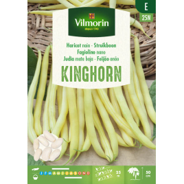 Semences de haricot nain Kinghorn 150 g VILMORIN