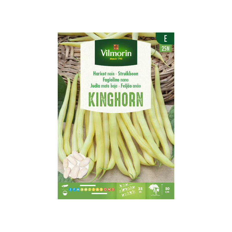 Semences de haricot nain Kinghorn 150 g VILMORIN