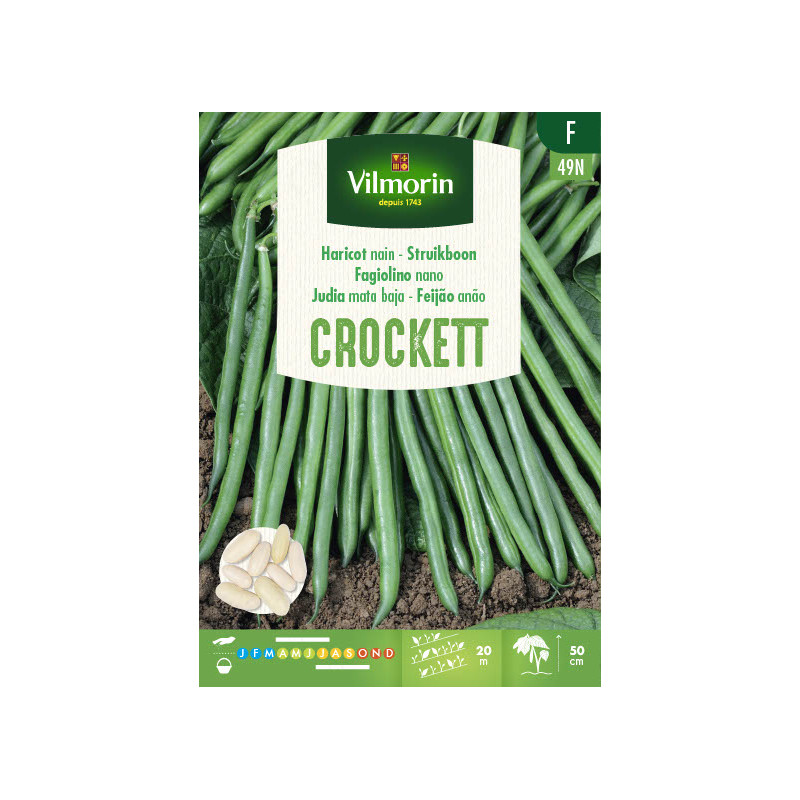 Semences de haricot nain Crockett 100 g VILMORIN