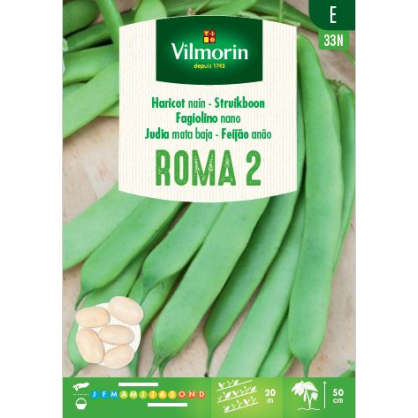 Semences de haricot nain Roma 2 250 g VILMORIN
