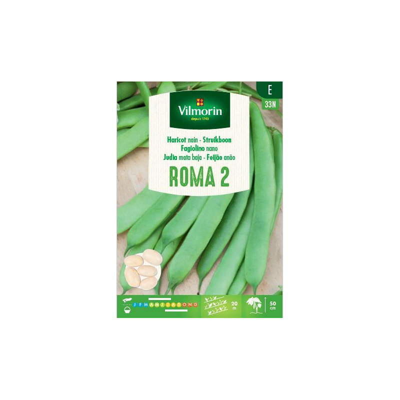 Semences de haricot nain Roma 2 250 g VILMORIN