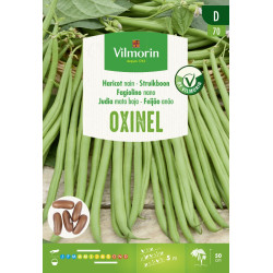 Semences de haricot nain Oxinel 30 g VILMORIN
