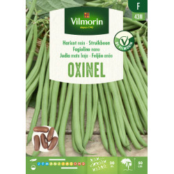 Semences de haricot nain Oxinel 110 g VILMORIN