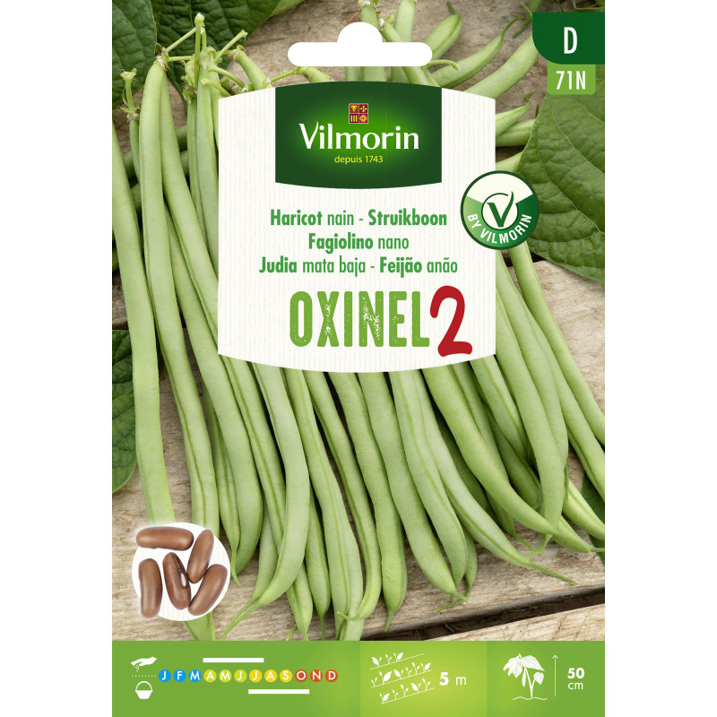 Semences de haricot nain Oxinel 2 30 g VILMORIN