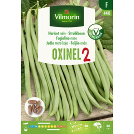 Semences de haricot nain Oxinel 2 110 g VILMORIN