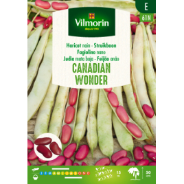 Semences de haricot nain Canadian Wonder 150 g VILMORIN