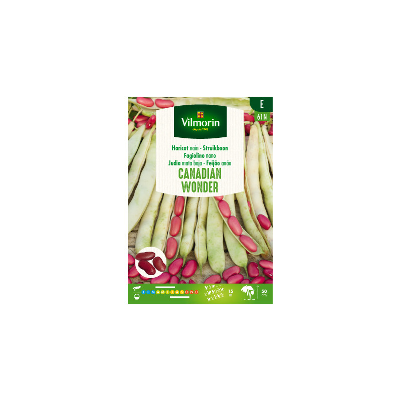 Semences de haricot nain Canadian Wonder 150 g VILMORIN