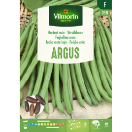 Semences de haricot Argus 125 g VILMORIN