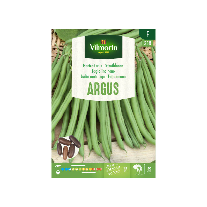 Semences de haricot Argus 125 g VILMORIN