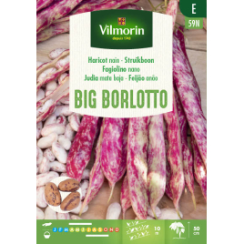 Semences de haricot Big Borlotto 150 g VILMORIN