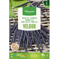 Semences de haricot nain Velour 25 g VILMORIN