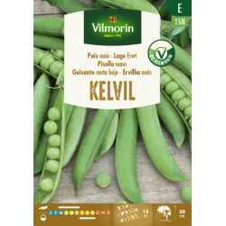 Semences de pois nain Kelvil 150 g VILMORIN