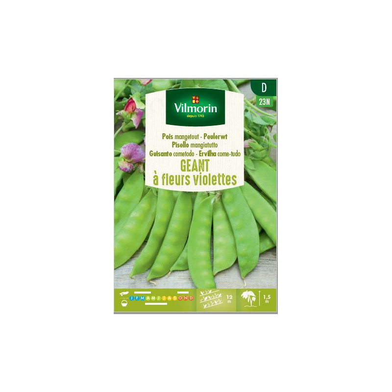 Semences de pois Géant à fleurs Violettes 125 g VILMORIN