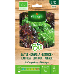 Mélange de semences de laitue à couper Bio VILMORIN
