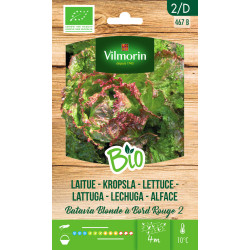 Semences de laitue Batavia Blonde 2 Bio VILMORIN