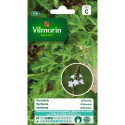 Semences de verveine Officinale VILMORIN