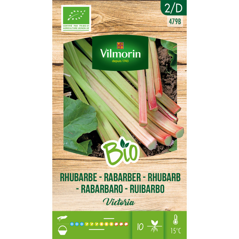 Semences de rhubarbe Victoria Bio VILMORIN