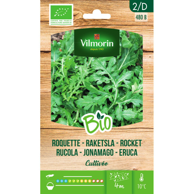 Semences de roquette cultivée Bio VILMORIN