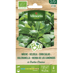 Semences de mâche Grosse Graine Bio VILMORIN