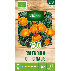 Semences de calendula Officinalis Bio VILMORIN
