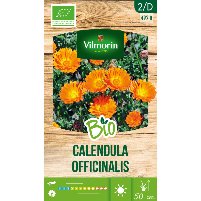 Semences de calendula Officinalis Bio VILMORIN