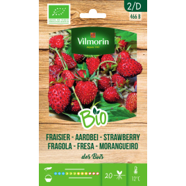 Semences de fraisier des Bois Bio VILMORIN