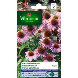 Semences de rudbeckia Pourpre Magnus VILMORIN