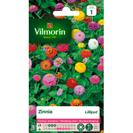 Semences de zinnia Lilliput VILMORIN