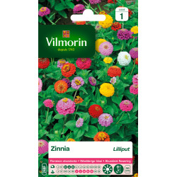 Semences de zinnia Lilliput VILMORIN