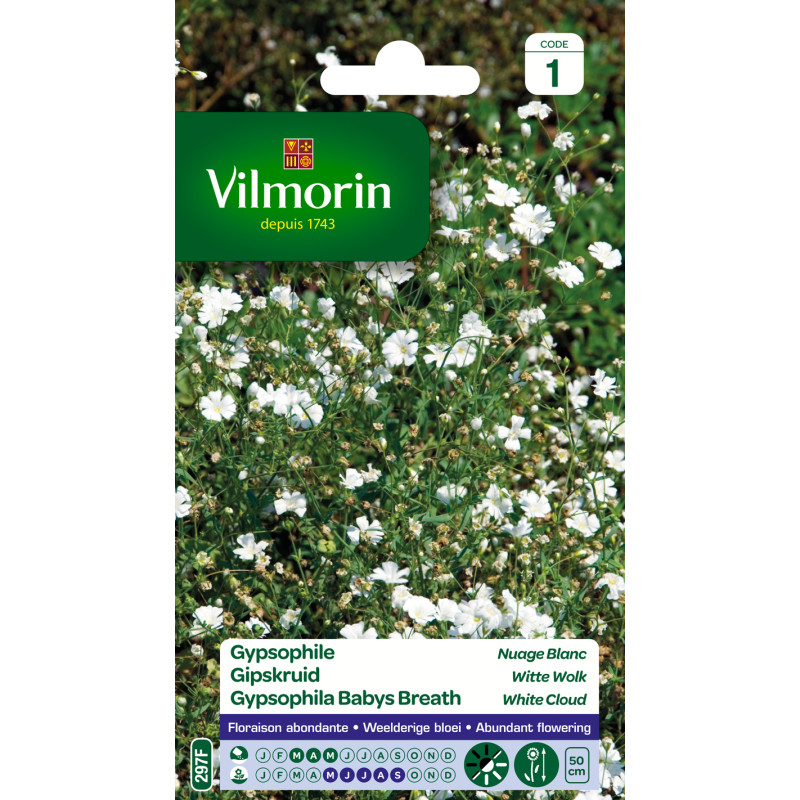 Semences de gypsophile Nuage Blanc VILMORIN