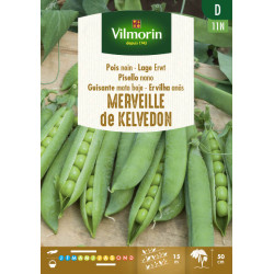 Semences de pois nain Merveille de Kelvedon 150 g VILMORIN
