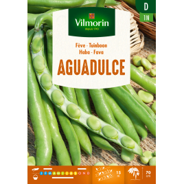Semences de fève Aguadulce 175 g VILMORIN