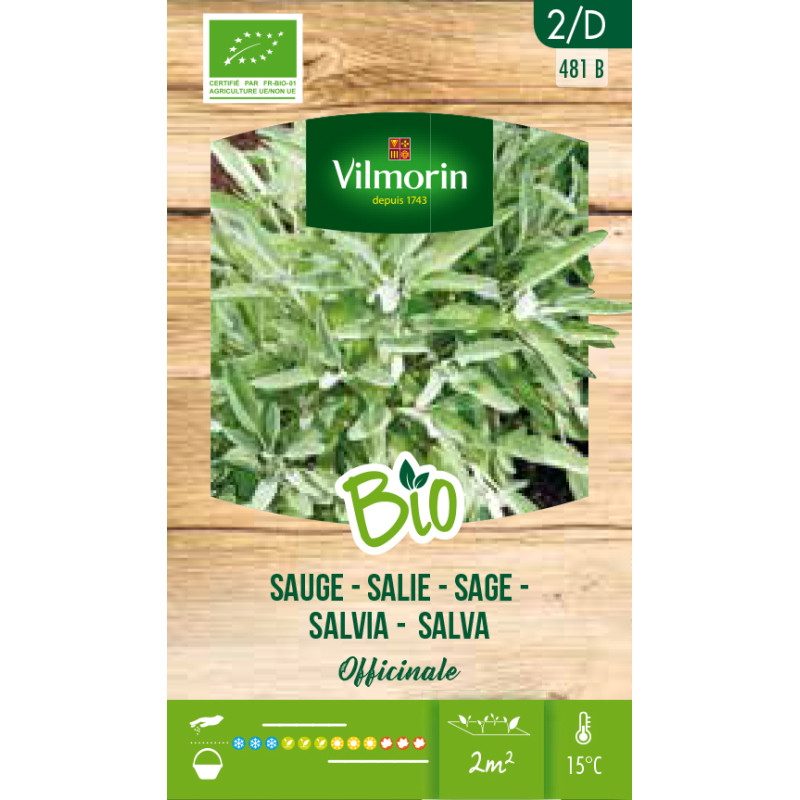 Semences de sauge Officinale Bio VILMORIN