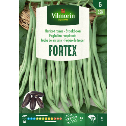 Semences de haricot à rames Fortex 80 g VILMORIN