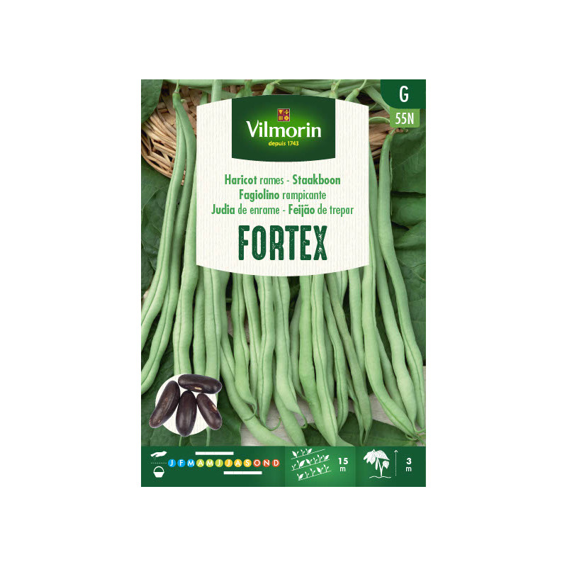 Semences de haricot à rames Fortex 80 g VILMORIN