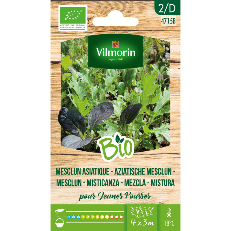 Semences de mesclun Asiatique Bio VILMORIN