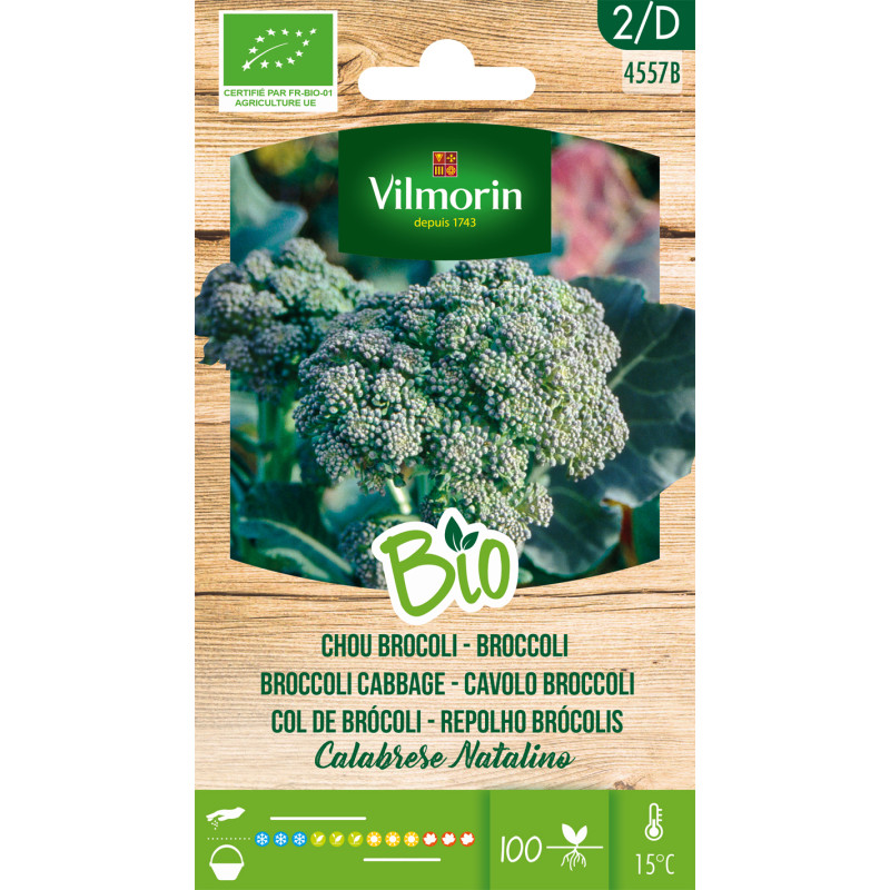 Semences de chou Brocoli Calebrese Bio VILMORIN