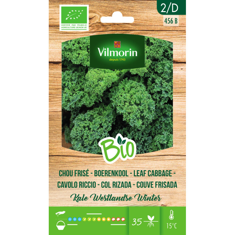 Semences de chou Frisé Kale Bio VILMORIN