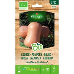 Semences de courge Waltham Butternut Bio VILMORIN