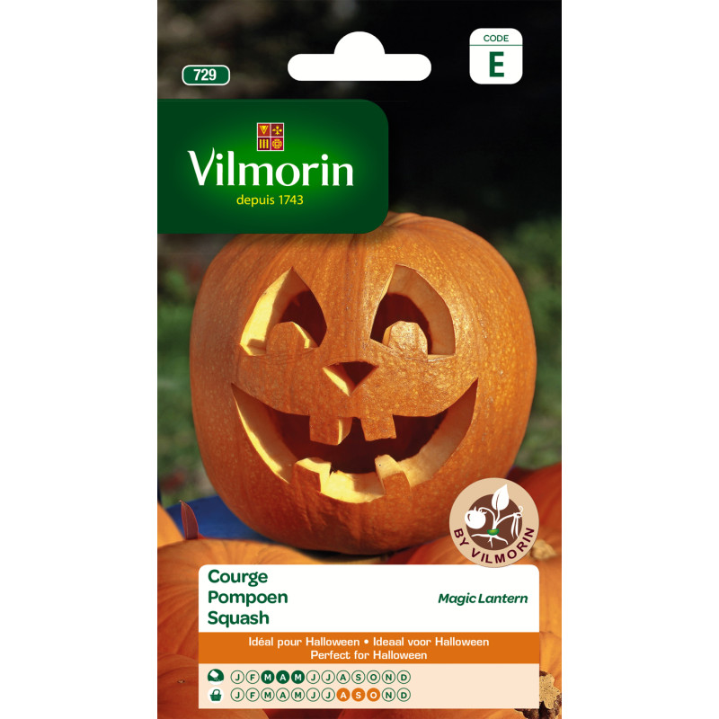 Semences de courge Magic Lantern VILMORIN