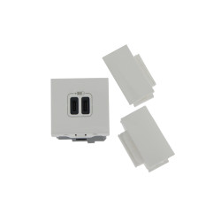 Prise chargeur USB C 2 modules Mosaic DLP + clip blanc LEGRAND