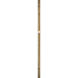 Bois brut 240 x 3,1 x 1,9 cm 15 pièces Bois brut 240 x 3,1 x 1,9 cm 15 pièces