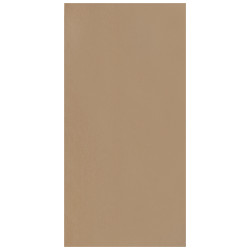 Panneau MDF 244 x 122 x 2,2 cm Panneau MDF 244 x 122 x 2,2 cm