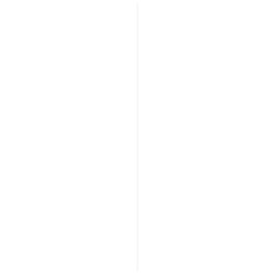 Plinthe en bois dur prépeinte blanche 240 x 6,8 x 1,1 cm Plinthe en bois dur prépeinte blanche 240 x 6,8 x 1,1 cm