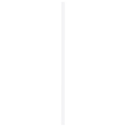 Plinthe en bois dur prépeinte blanche 240 x 6,8 x 1,1 cm Plinthe en bois dur prépeinte blanche 240 x 6,8 x 1,1 cm