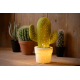 Lampe de table Cactus verte E14 25 W LUCIDE
