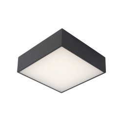 Plafonnier LED pour salle de bain Roxane anthracite 12 W LUCIDE