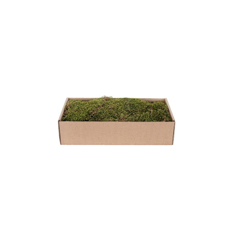 Mr Bricolage image produit pour l'impression