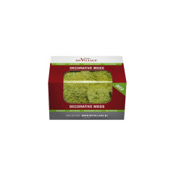 Mousse Lichen Vert Clair 50g – Déco Naturelle | MY VILLAGE

